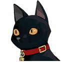 猫咪